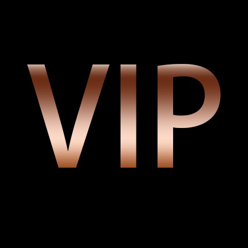 VIP Service US Invoice MP20210111-8